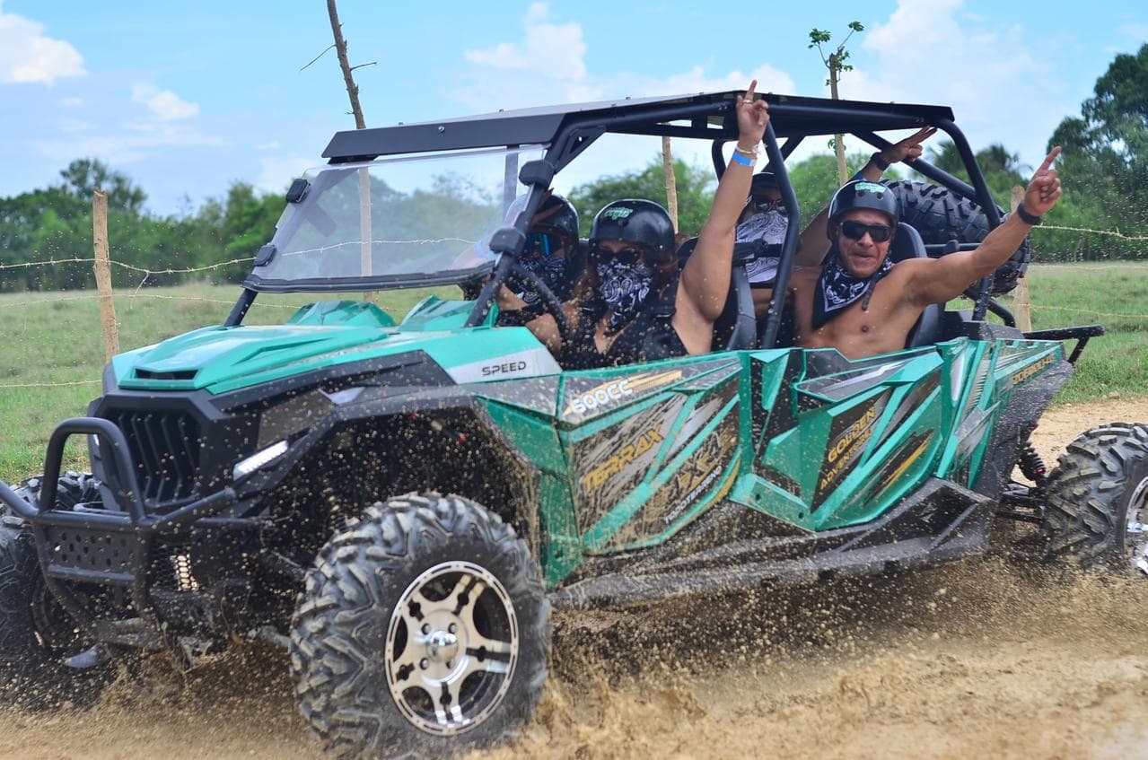 Buggies y Polaris — 4
