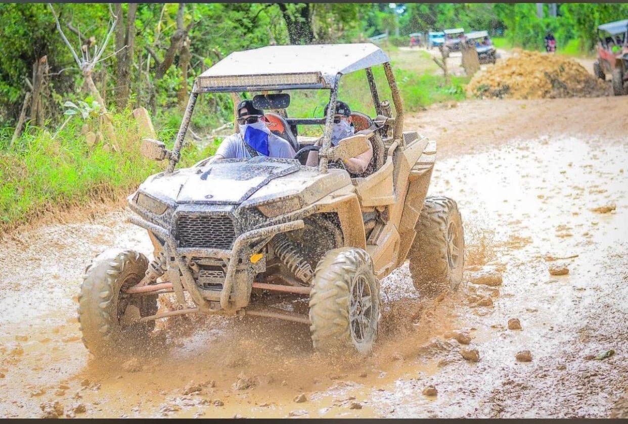 Buggies y Polaris — 3