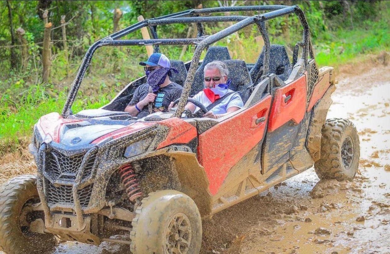 Buggies y Polaris — 5